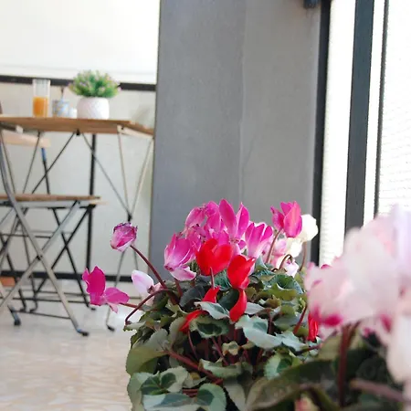 Guest house Dimore Del Sud